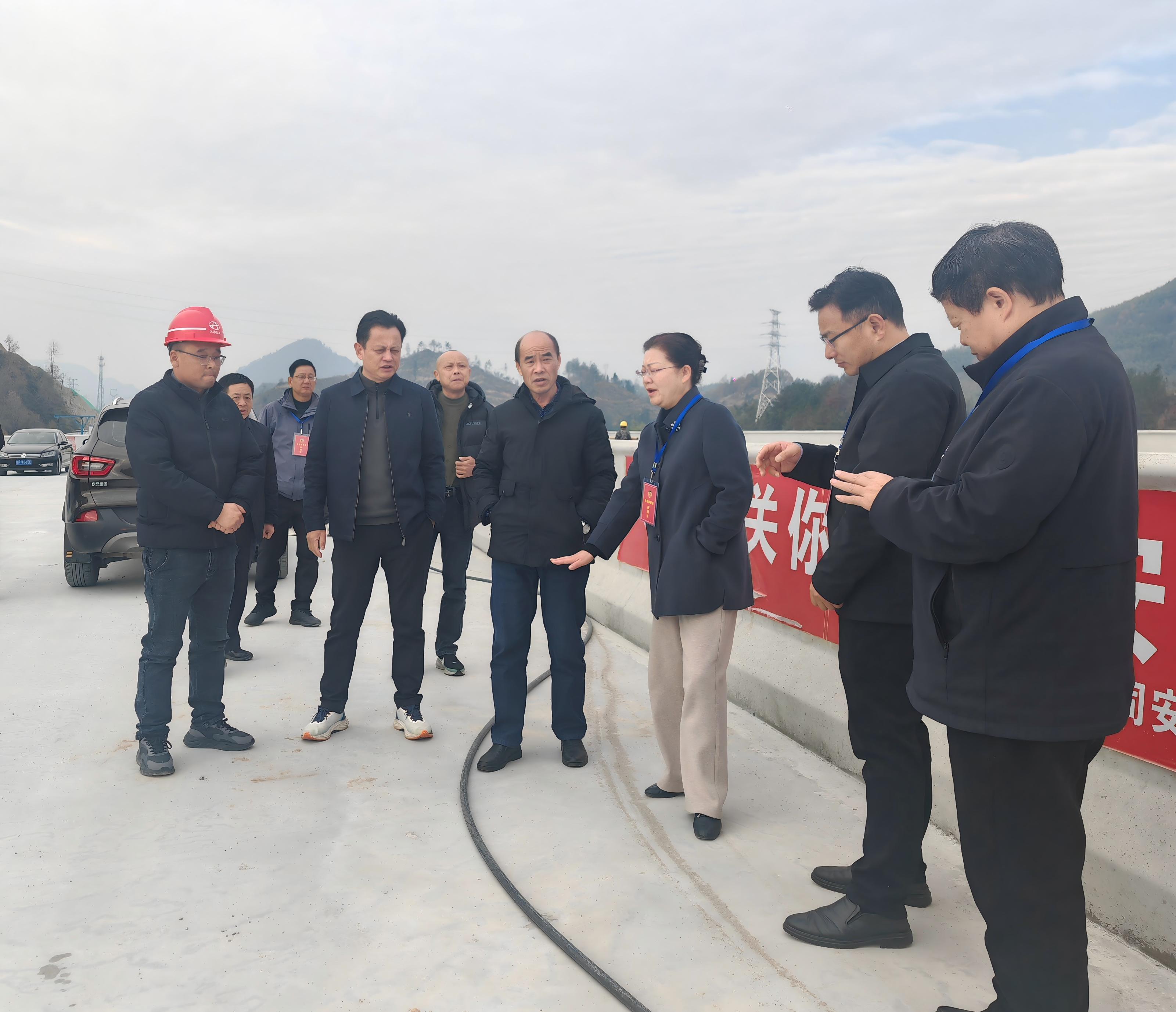 县政协视察2025年政府实事及重点项目推进情况